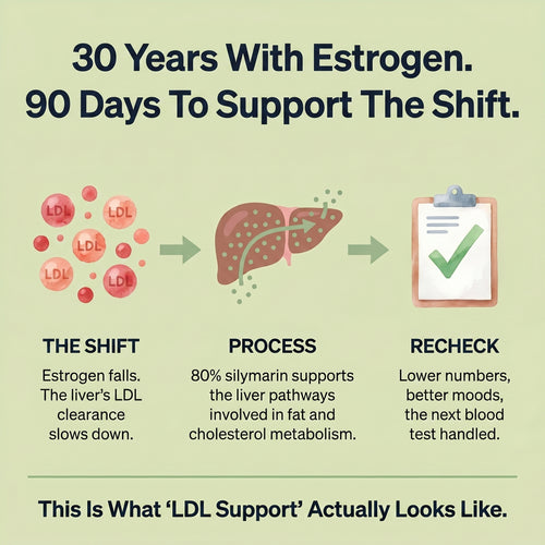 Milk Thistle LDL Formula