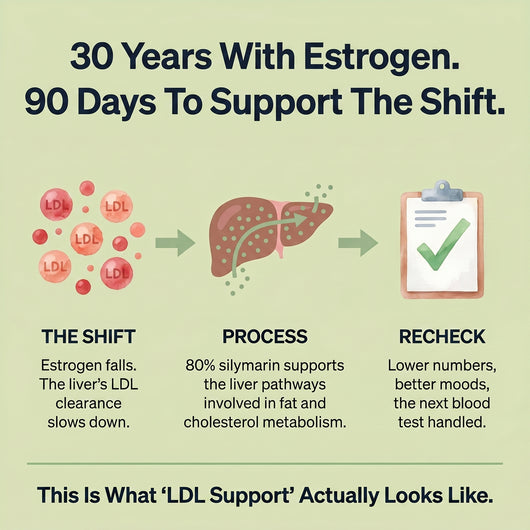 Milk Thistle LDL Formula