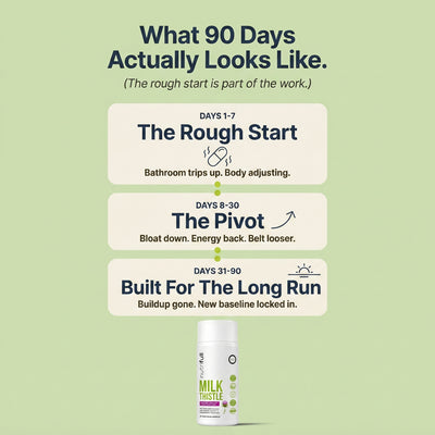 Milk Thistle